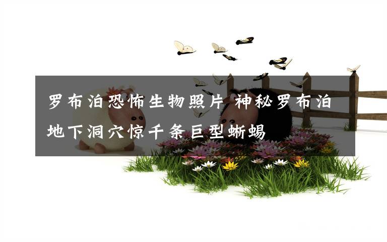 罗布泊恐怖生物照片 神秘罗布泊地下洞穴惊千条巨型蜥蜴