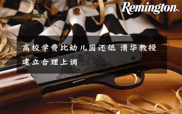 高校学费比幼儿园还低 清华教授建立合理上调