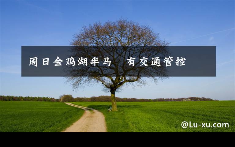 周日金鸡湖半马 有交通管控