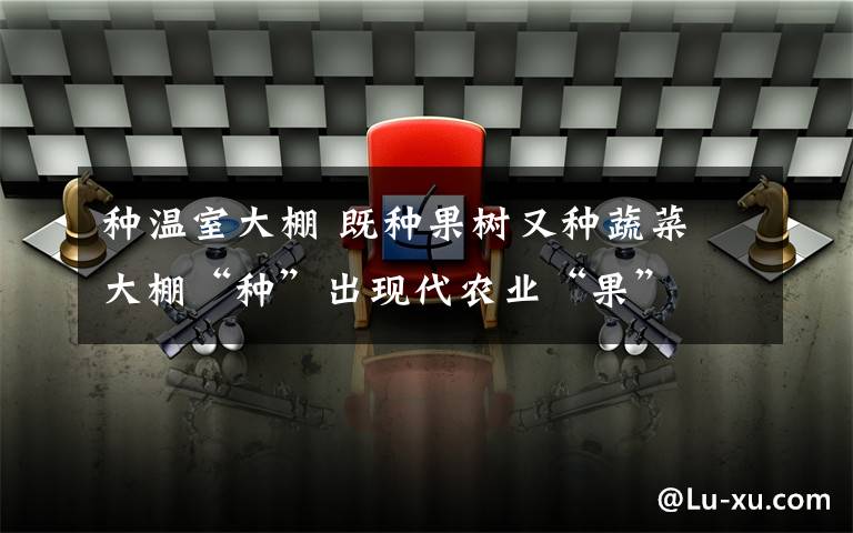 种温室大棚 既种果树又种蔬菜 大棚“种”出现代农业“果”