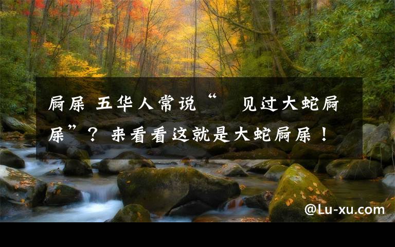 屙屎 五华人常说“冇见过大蛇屙屎”?来看看这就是大蛇屙屎!