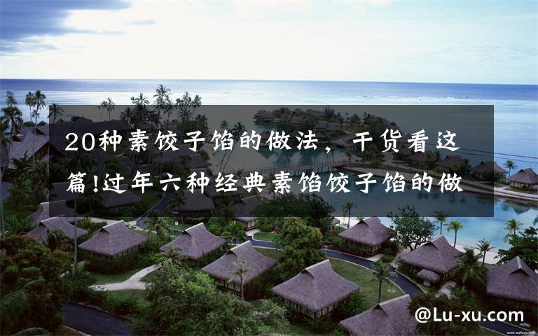 20种素饺子馅的做法,干货看这篇!过年六种经典素馅饺子馅的做法,营养好吃不长肉,吃饺子不重样