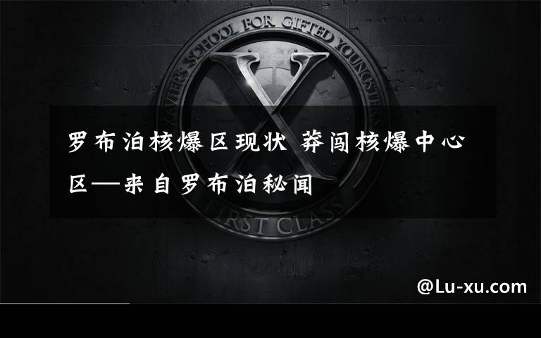 罗布泊核爆区现状 莽闯核爆中心区—来自罗布泊秘闻