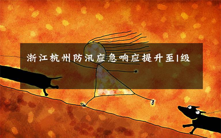 浙江杭州防汛应急响应提升至I级