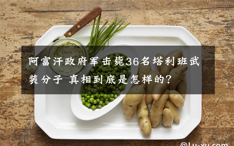 阿富汗政府军击毙36名塔利班武装分子 真相到底是怎样的?