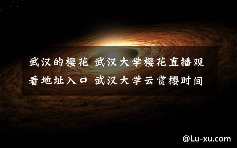 武汉的樱花 武汉大学樱花直播观看地址入口 武汉大学云赏樱时间哪里看