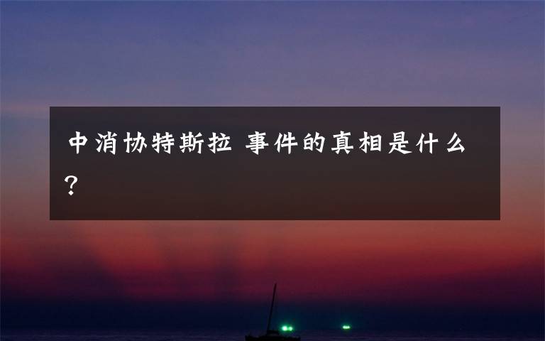 中消协特斯拉 事件的真相是什么？