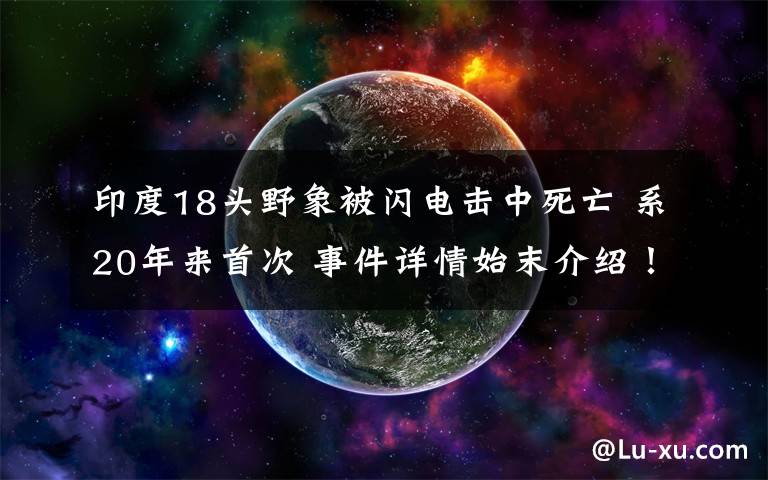 印度18头野象被闪电击中死亡 系20年来首次 事件详情始末介绍!