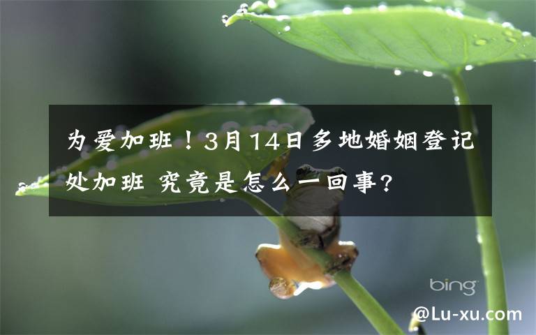 为爱加班!3月14日多地婚姻登记处加班 究竟是怎么一回事?