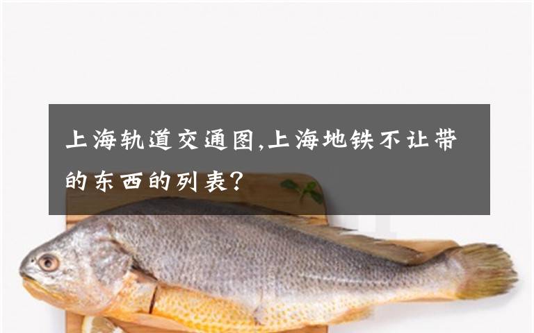 上海轨道交通图,上海地铁不让带的东西的列表?