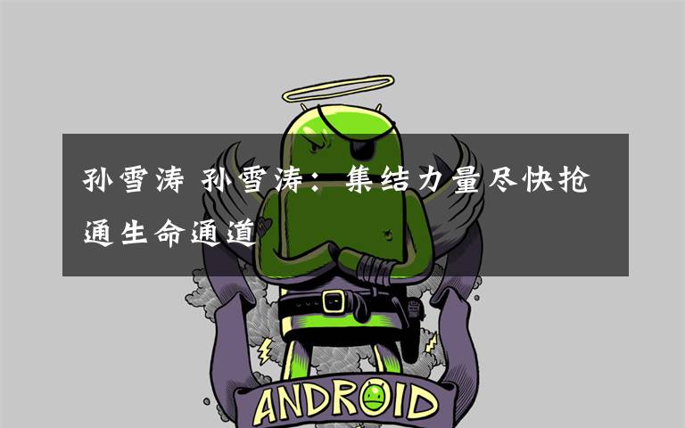 孙雪涛 孙雪涛:集结力量尽快抢通生命通道