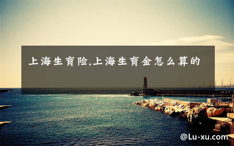 上海生育险,上海生育金怎么算的