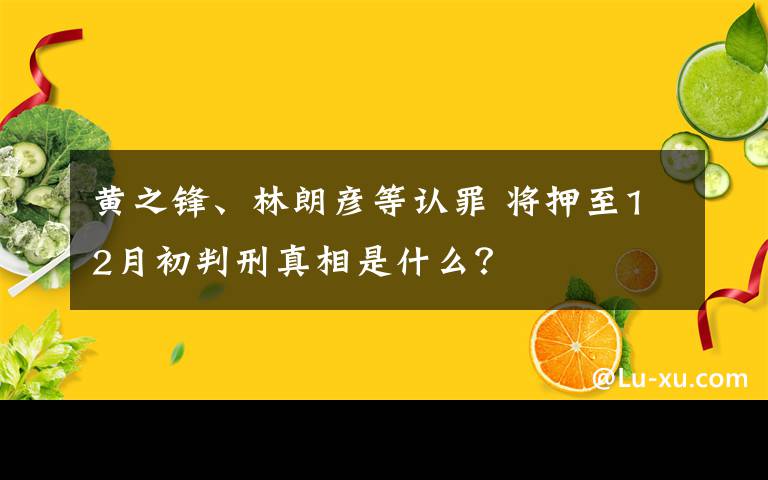 黄之锋、林朗彦等认罪 将押至12月初判刑真相是什么？