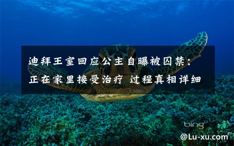 迪拜王室回应公主自曝被囚禁:正在家里接受治疗 过程真相详细揭秘!