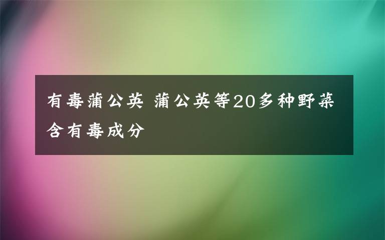 有毒蒲公英 蒲公英等20多种野菜含有毒成分