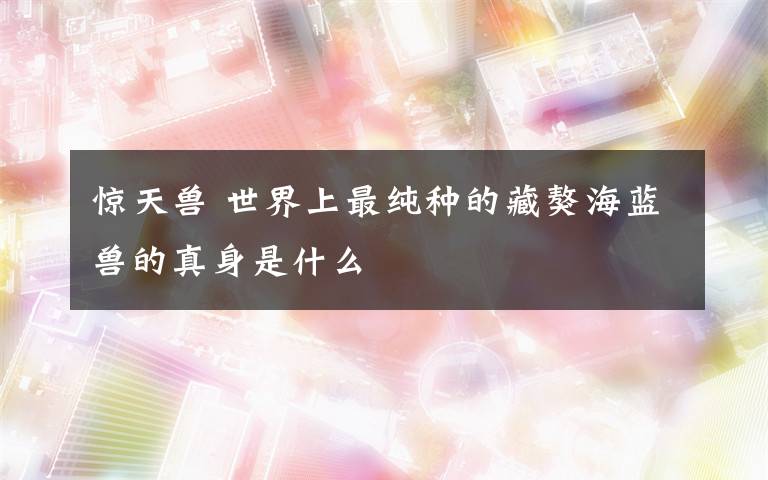 惊天兽 世界上最纯种的藏獒海蓝兽的真身是什么