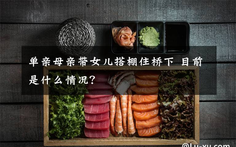 单亲母亲带女儿搭棚住桥下 目前是什么情况?