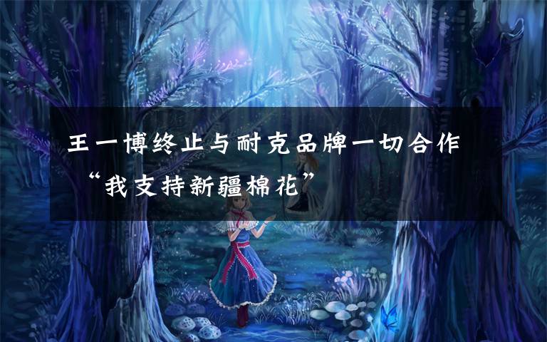 王一博终止与耐克品牌一切合作 “我支持新疆棉花”