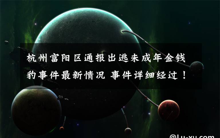 杭州富阳区通报出逃未成年金钱豹事件最新情况 事件详细经过！