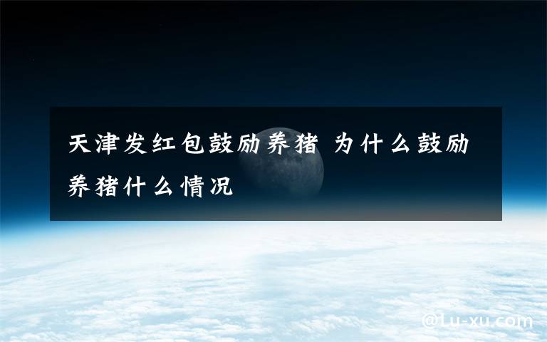 天津发红包鼓励养猪 为什么鼓励养猪什么情况