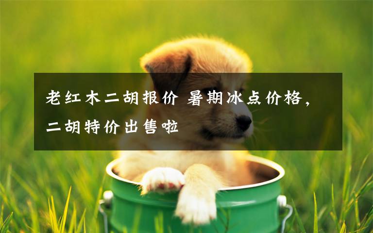 老红木二胡报价 暑期冰点价格,二胡特价出售啦
