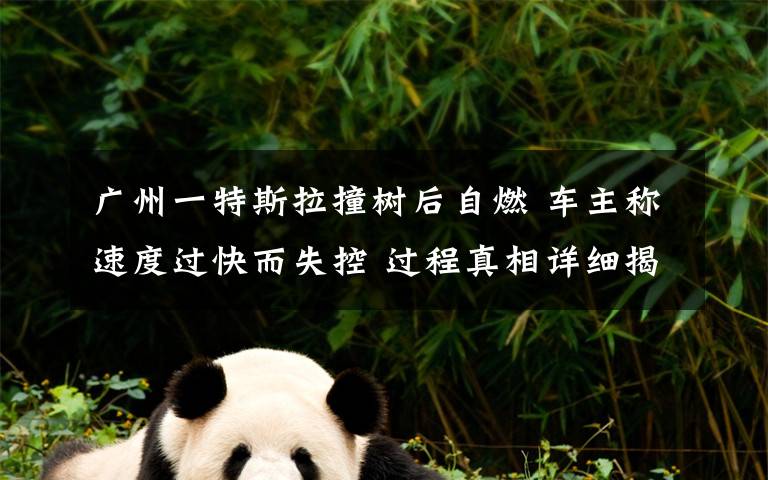 广州一特斯拉撞树后自燃 车主称速度过快而失控 过程真相详细揭秘!