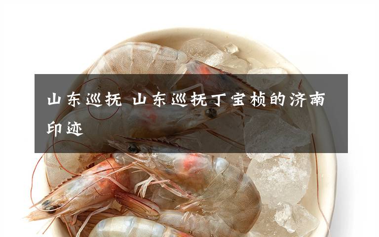 山东巡抚 山东巡抚丁宝桢的济南印迹