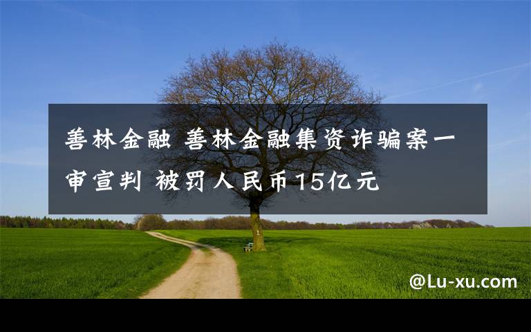 善林金融 善林金融集资诈骗案一审宣判 被罚人民币15亿元
