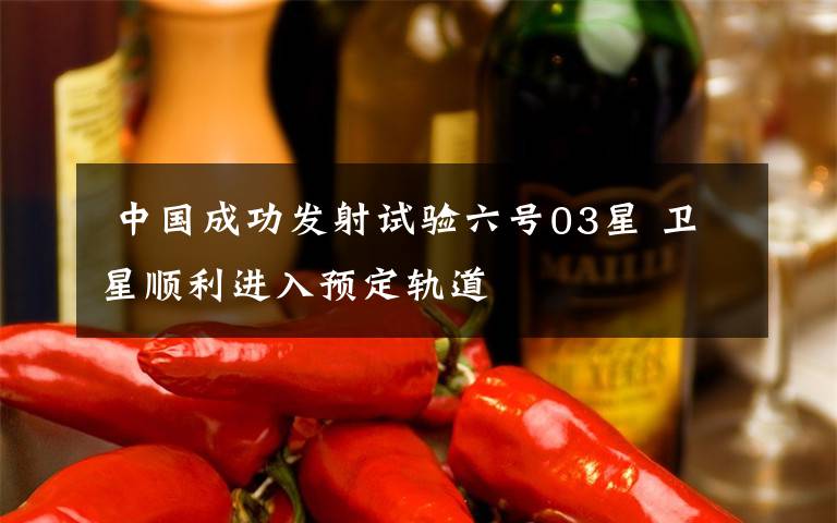  中国成功发射试验六号03星 卫星顺利进入预定轨道
