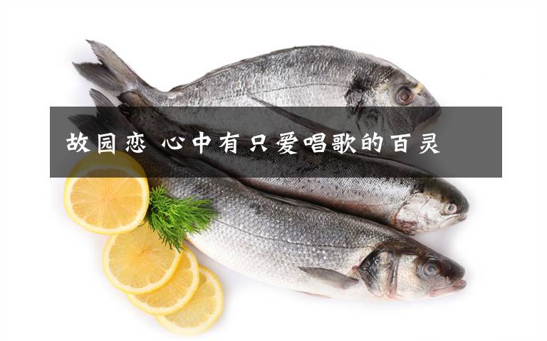 故园恋 心中有只爱唱歌的百灵