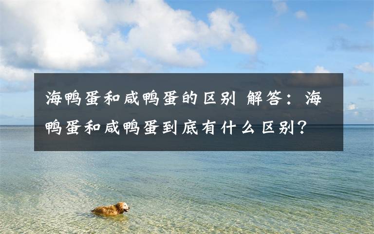 海鸭蛋和咸鸭蛋的区别 解答:海鸭蛋和咸鸭蛋到底有什么区别?为什么海鸭蛋价格高?