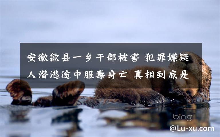 安徽歙县一乡干部被害 犯罪嫌疑人潜逃途中服毒身亡 真相到底是怎样的?