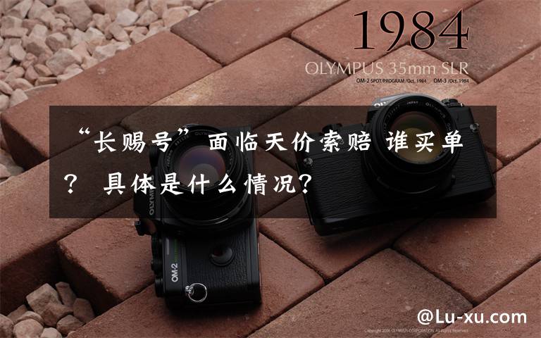 “长赐号”面临天价索赔 谁买单? 具体是什么情况?