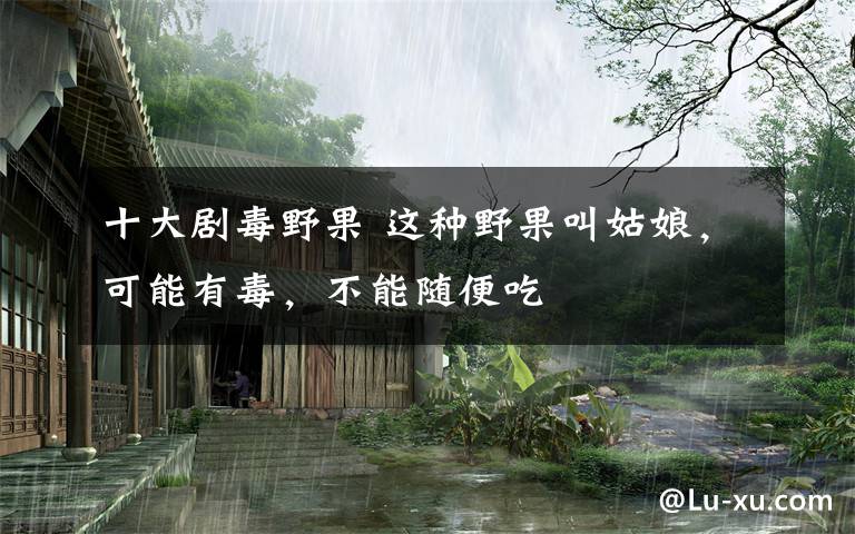 十大剧毒野果 这种野果叫姑娘,可能有毒,不能随便吃