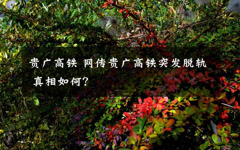 贵广高铁 网传贵广高铁突发脱轨 真相如何？