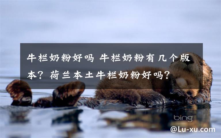 牛栏奶粉好吗 牛栏奶粉有几个版本？荷兰本土牛栏奶粉好吗？