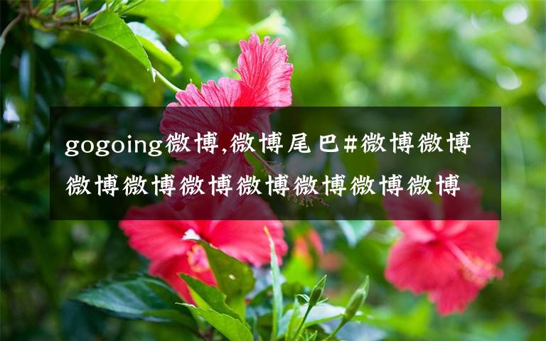 gogoing微博,微博尾巴#微博微博微博微博微博微博微博微博微博微博微博微博微博微博微博微博就是那么给力[鼓掌？