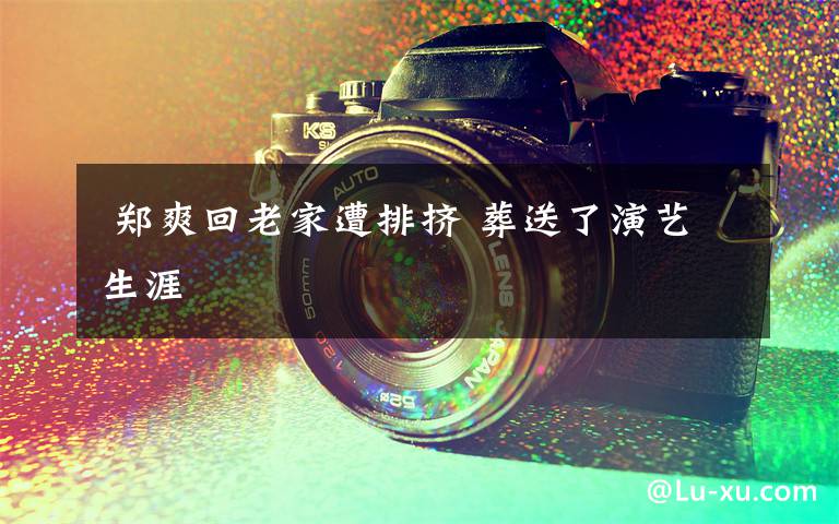  郑爽回老家遭排挤 葬送了演艺生涯