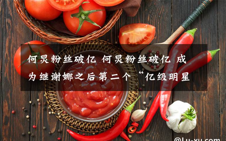 何炅粉丝破亿 何炅粉丝破亿 成为继谢娜之后第二个“亿级明星”获“土味表白”