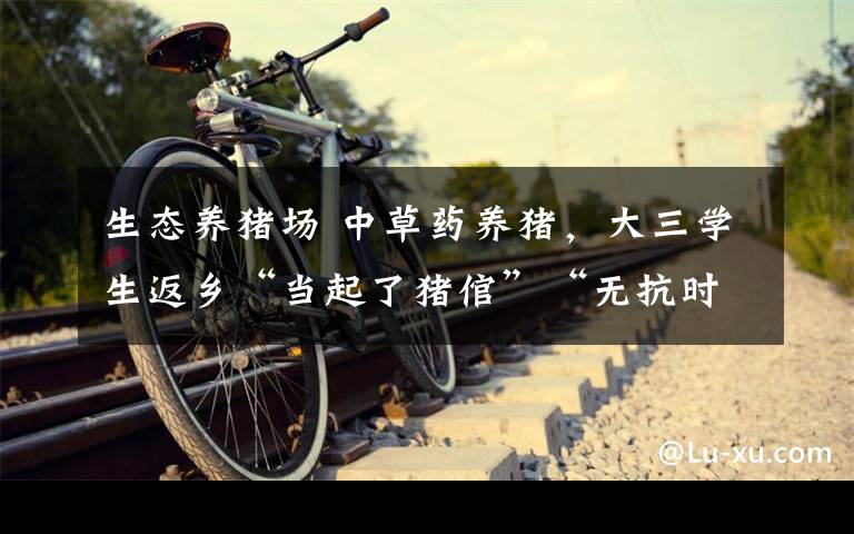 生态养猪场 中草药养猪,大三学生返乡“当起了猪倌”“无抗时代”生态养殖大有可为