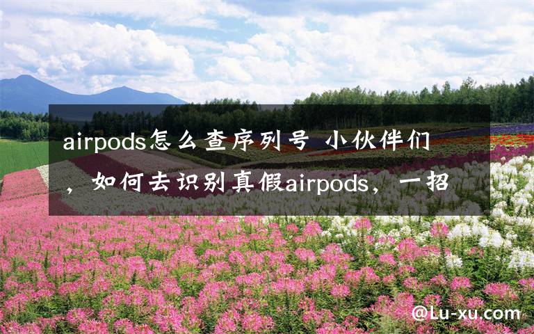 airpods怎么查序列号 小伙伴们,如何去识别真假airpods,一招教你识别真假悟空