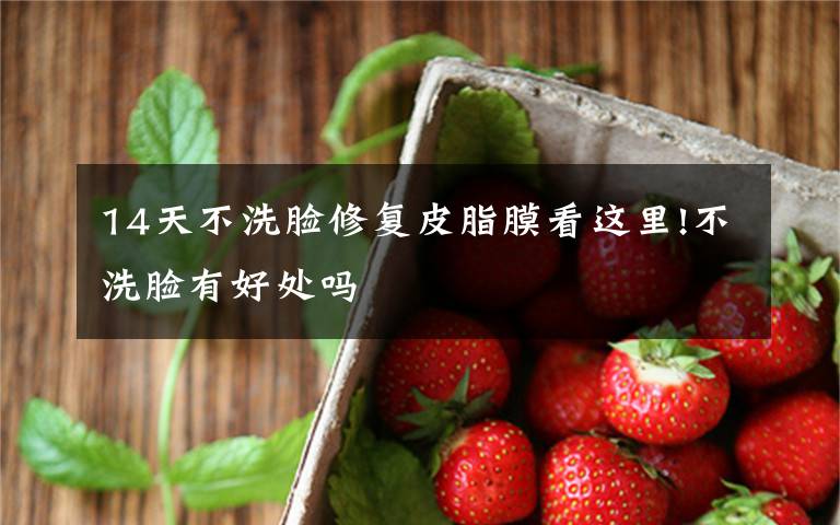 14天不洗脸修复皮脂膜看这里!不洗脸有好处吗