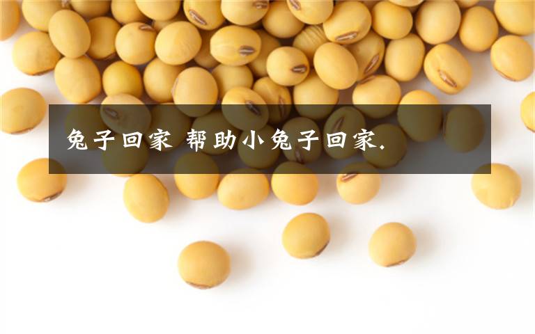 兔子回家 帮助小兔子回家.