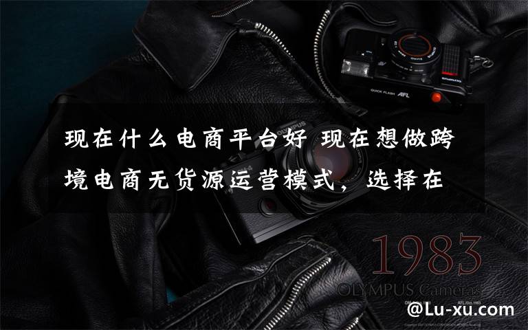 现在什么电商平台好 现在想做跨境电商无货源运营模式，选择在哪个平台做比较好？