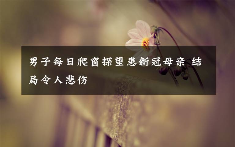 男子每日爬窗探望患新冠母亲 结局令人悲伤