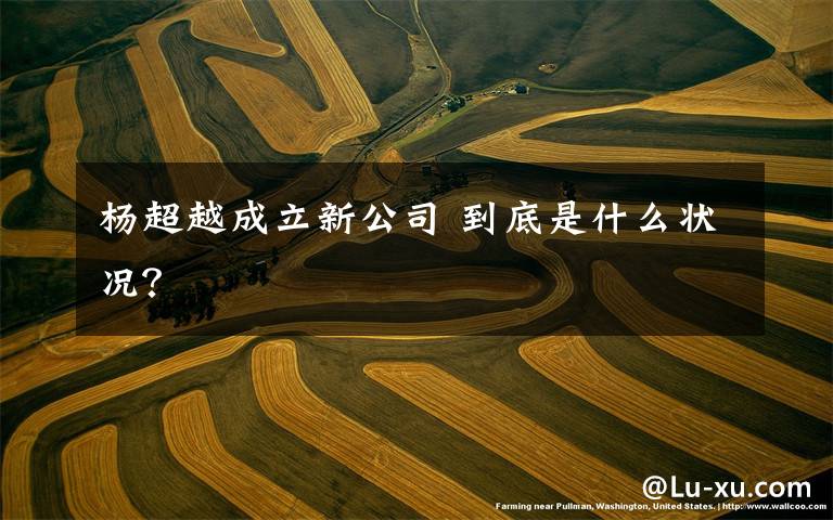 杨超越成立新公司 到底是什么状况?