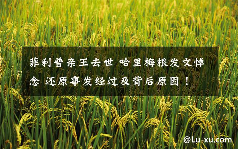 菲利普亲王去世 哈里梅根发文悼念 还原事发经过及背后原因!