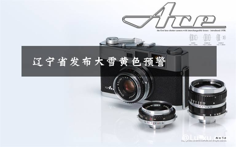  辽宁省发布大雪黄色预警