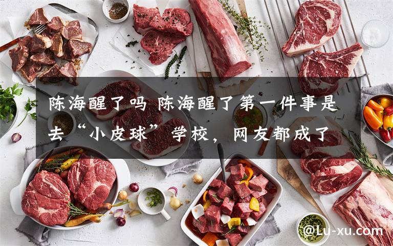 陈海醒了吗 陈海醒了第一件事是去“小皮球”学校,网友都成了段子手