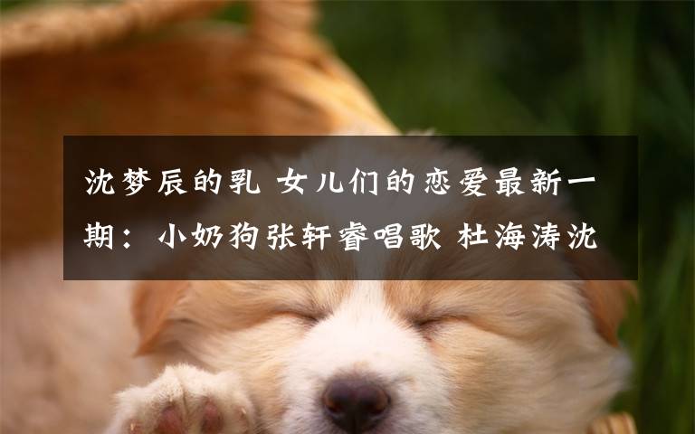 沈梦辰的乳 女儿们的恋爱最新一期:小奶狗张轩睿唱歌 杜海涛沈梦辰痛哭